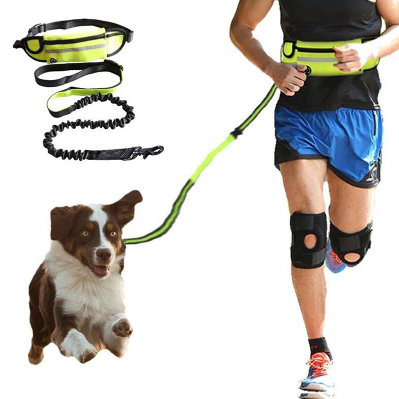 Hands Free Dog Leash Pet Walking and Training Belt with Shock Absorbing Bungee Leash for up to 180Lbs Large Dogs Phone Pocket and Water Bottle Holder