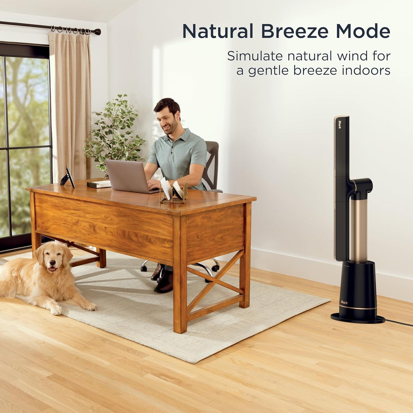 Shark TurboBlade Bladeless Tower Fan — Charcoal