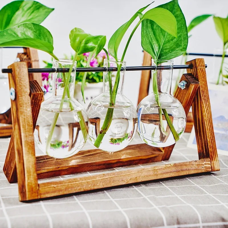 Tabletop Glass Planter Propagation Station Hydroponic Plant Vases in Wooden Rack Terrarium for Plants for Home Decor Room Decora
