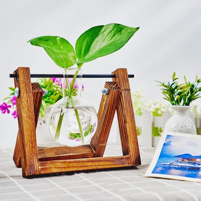 Tabletop Glass Planter Propagation Station Hydroponic Plant Vases in Wooden Rack Terrarium for Plants for Home Decor Room Decora