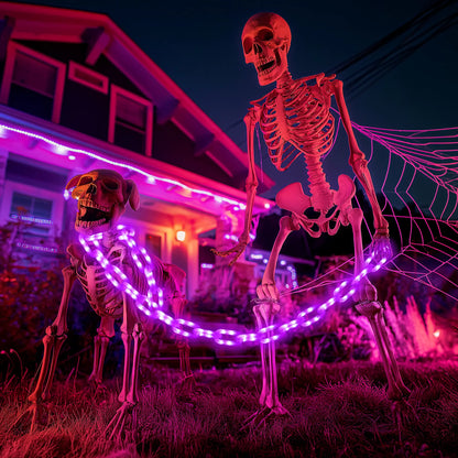 Flacchi Outdoor Halloween Chain Lights (Solar/Battery) 160 Leds. Waterproof Plastic, 8 Lighting Modes. Perfect Spooky Hanging Decor for Halloween Parties, Bushes, Fences, and Patios. Orange/Purple