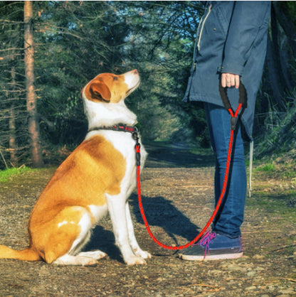 Reflective Dog Leash Nylon Pet Dog Leash Rope for Small Medium Large Dogs Walking Training Pet Suppiles
