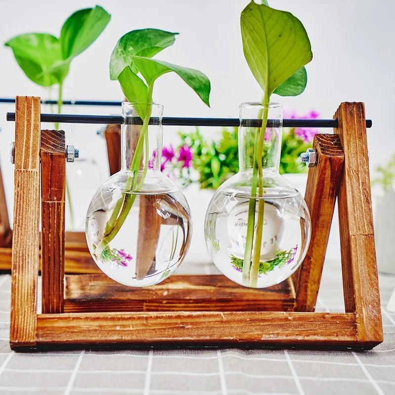 Tabletop Glass Planter Propagation Station Hydroponic Plant Vases in Wooden Rack Terrarium for Plants for Home Decor Room Decora