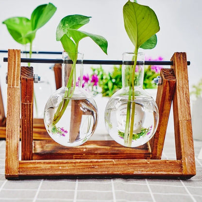 Tabletop Glass Planter Propagation Station Hydroponic Plant Vases in Wooden Rack Terrarium for Plants for Home Decor Room Decora